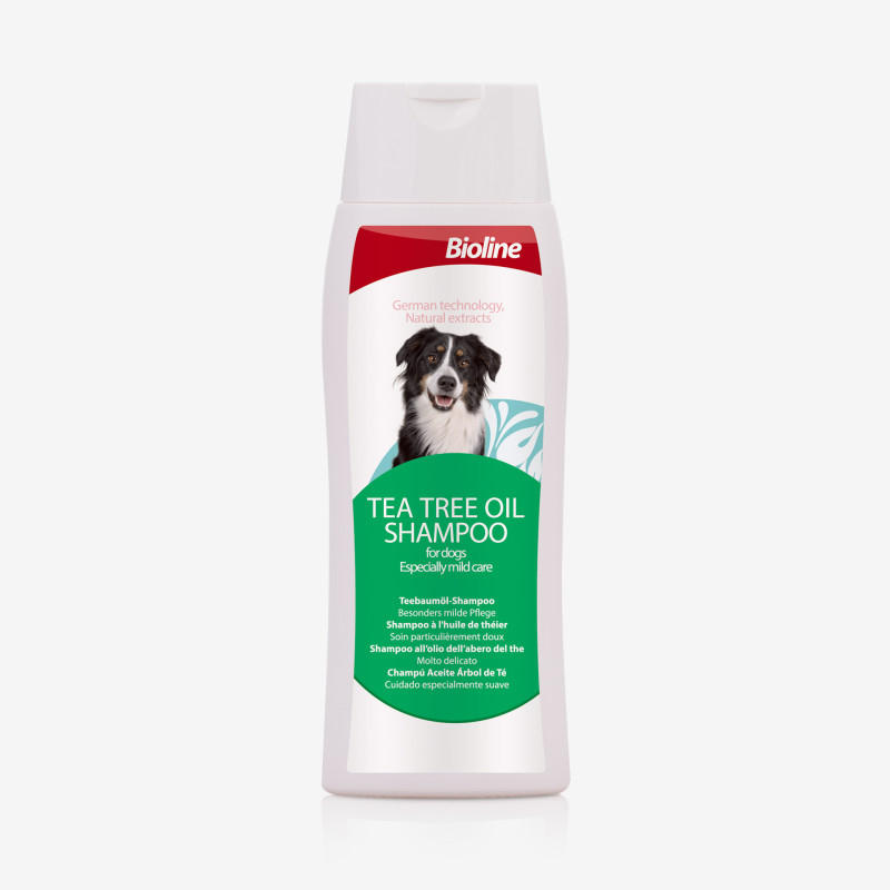 Shampoo Shampoo