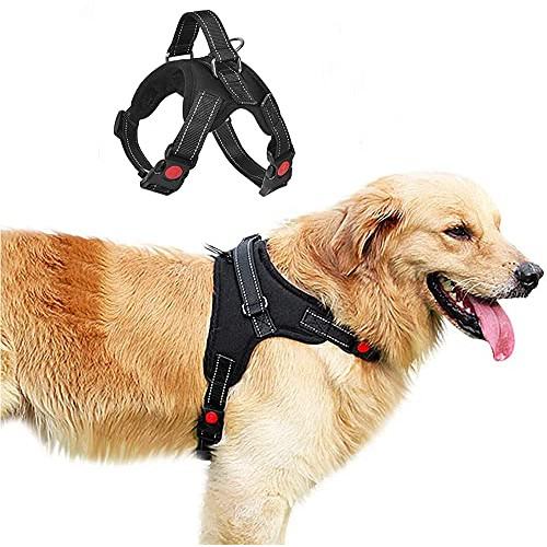 Arnés para perro talla M