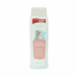 Shampoo gatitos