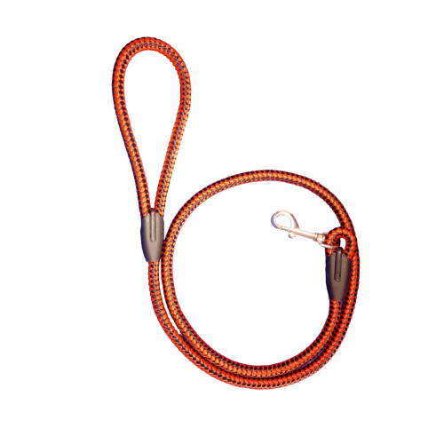 Braided Dog Leash